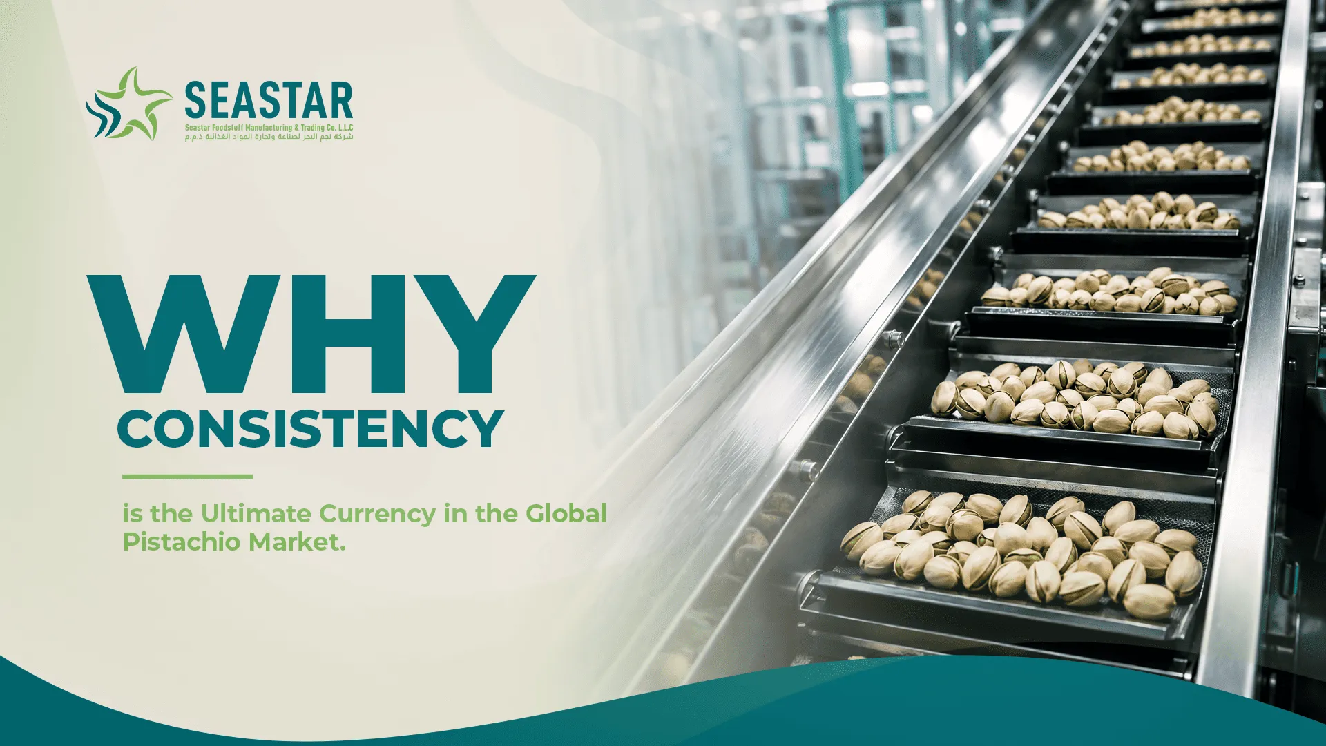 Why Consistency Is the Ultimate Currency In the Global Pistachio Market